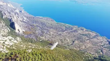 Menteşe'deki Orman Yangını Kontrol Altına Alındı