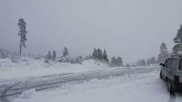 Koyulhisar'da Kar Yağışı