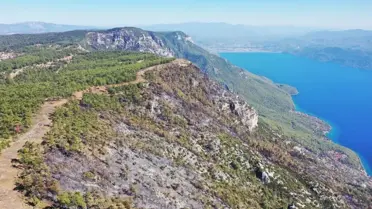 Muğla'da Orman Yangınları: 849 Hektar Kül Oldu