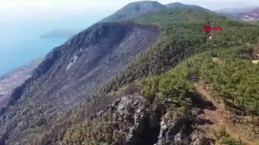 Muğla'da Orman Yangınlarına Müdahale