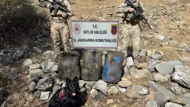 Bitlis'te terör operasyonu