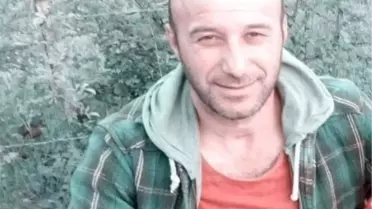 Ağaç Devrildi, İşçi Hayatını Kaybetti