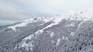 Rize ve Giresun'da Kar Etkili