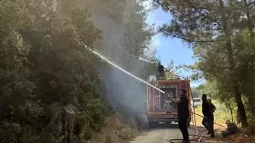 Hatay'da Orman Yangını Kontrol Altına Alındı