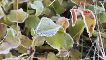 Ardahan'da Soğuk Rekoru
