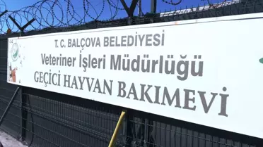 Balçova Belediyesi Arama Kurtarma Ekibi Bal-Kut'a Hayvan Arama Kurtarma Eğitimi Verildi