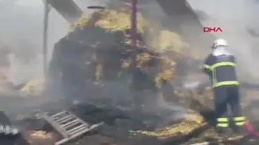 Bucak'taki Samanlık Yangını Kontrol Altına Alındı