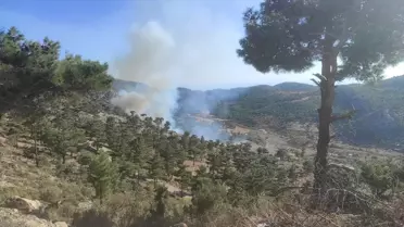 Gülnar'da Orman Yangını Kontrol Altına Alındı