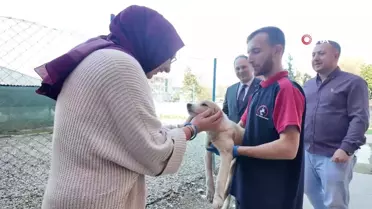 Düzce'deki Özel Eğitim Okuluna Yavru Köpek Yumak Teslim Edildi