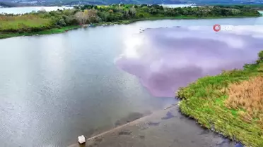 Terkos Gölü'nde Pembeye Boyanan Manzara