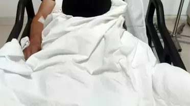 Osmaneli'de Domuz Sorunu: Avcılar Destek Verdi