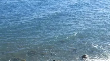 Şarköy'de Motosiklet Kazası: Bir Ölü