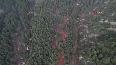 Denizli'de Devam Eden Orman Yangını Hakkında Açıklama Yapıldı