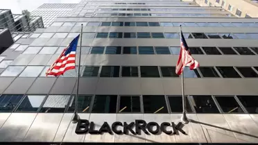 Bitcoin ETF etkisi: BlackRock fonu 11 gündür kesintisiz büyüyor