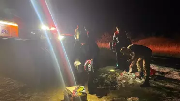 İngiliz Turist Ayı Saldırısından Korkusuzca Kurtuldu