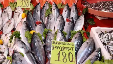 Elazığ'da Balık Sezonu Başladı