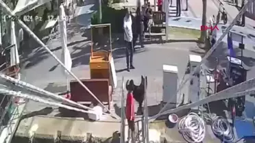 Fethiye'de Kurt Köpeği Polis Memuruna Saldırdı