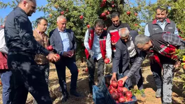 Şanlıurfa Hicaz Narı Dünyaya Açılıyor