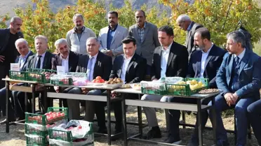 Keban'da Trabzon Hurması Hasadı Yapıldı