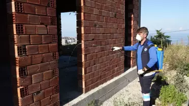 Kahverengi Kokarca Mücadelesi