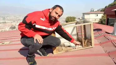 Antakya'da Sansar Sorunu