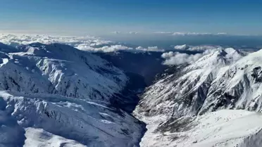 Ayı Saldırısı 170 Hayvanı Kaybettirdi