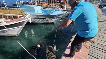 Gökova'da Yasa Dışı Balık Avcılığına Denetim