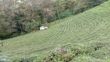Rize'de Kaza: Sürücü Yaralanmadan Kurtuldu