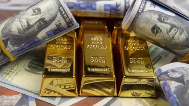 Merkez Bankasının rezervleri en yüksek seviyesine ulaştı