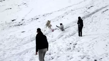 Ayder Yaylası'nda Kış Eğlencesi