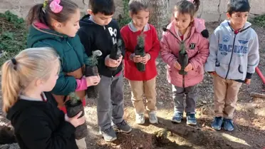 Sorgun'da Fidan Dikim Projesi