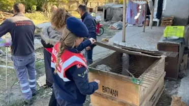 Yasaklı Irk Köpeklere Cezada Rekor