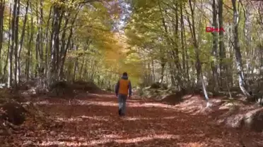 Küre Dağları'nda Sonbahar Güzellikleri