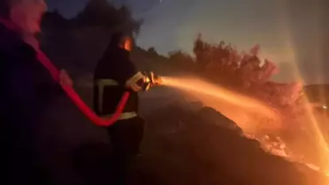 Hatay'da Orman Yangını: 5 Hektar Zarar Gördü
