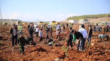 Milli Ağaçlandırma Günü'nde Fidanlar Dikildi