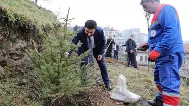 Kağıthane Belediyesi'nden Her Bebeğe Bir Ağaç Projesi