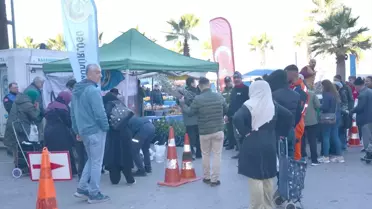Karamürsel'de 2.250 Fidan Dağıtıldı