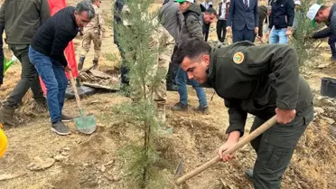 Sincik'te Ağaçlandırma Etkinliği