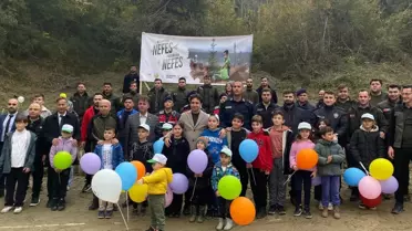 Sinop'ta Fidan Dikim Etkinlikleri