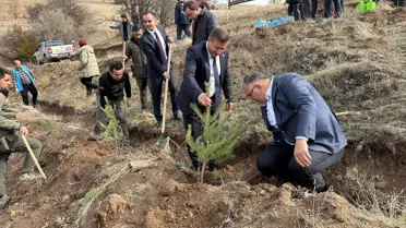 Sivas'ta Ağaçlandırma Etkinliği