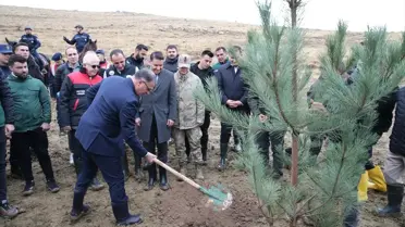 Van ve Bitlis'te Ağaçlandırma Etkinliği