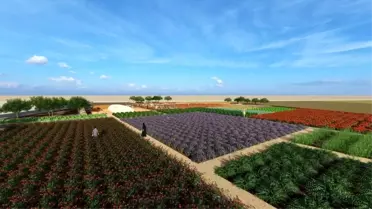 Diyarbakır'da Tıbbi ve Aromatik Bitki Bahçesi Kuruluyor