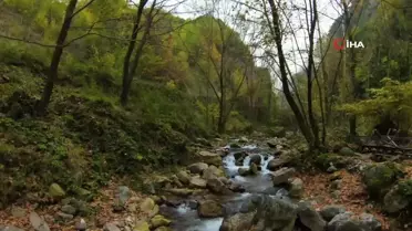 Kocaeli'de Sonbahar Güzelliği