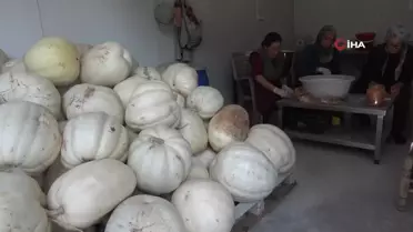 Mari'nin Bal Kabakları Umut Oldu