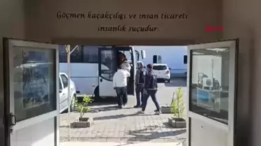 Osmaniye'de 11 Kaçak Göçmen Yakalandı