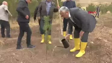 ÖSYM'den 50. Yıl İçin Hatıra Ormanı