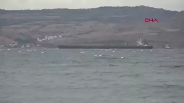 Çanakkale Boğazı'nda Gemi Arızası: Trafik Askıya Alındı