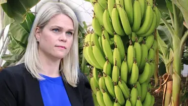 İsveç'te bakanın muz korkusu ülkeyi karıştırdı