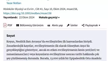 Evcil Koyunun Tarihi: Anadolu'dan Avrupa'ya Seyahat