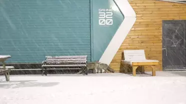 Palandöken'de Tilki Keyfi